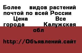 Более200 видов растений почтой по всей России › Цена ­ 100-500 - Все города  »    . Калужская обл.